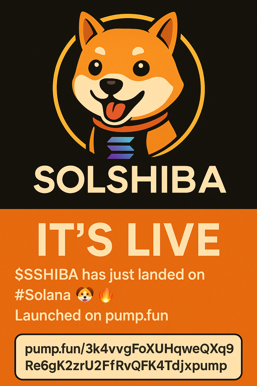 SOLSHIBA Banner